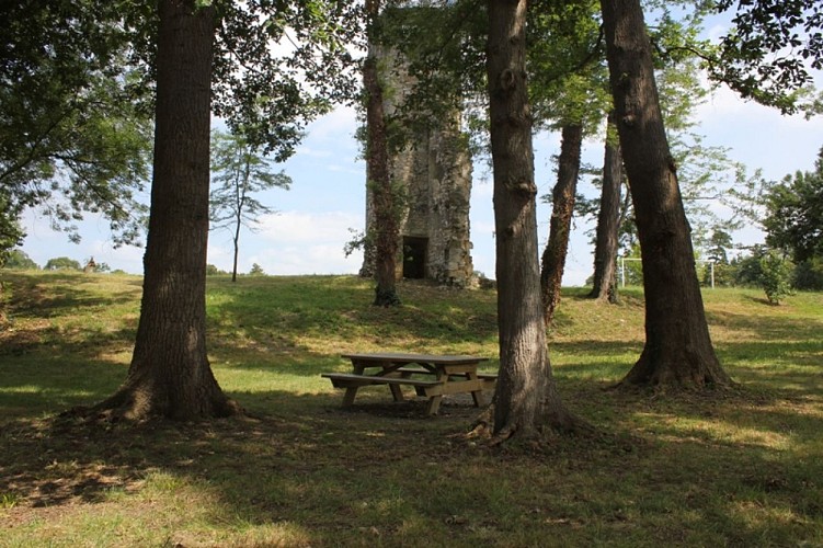 Aire de pique-nique