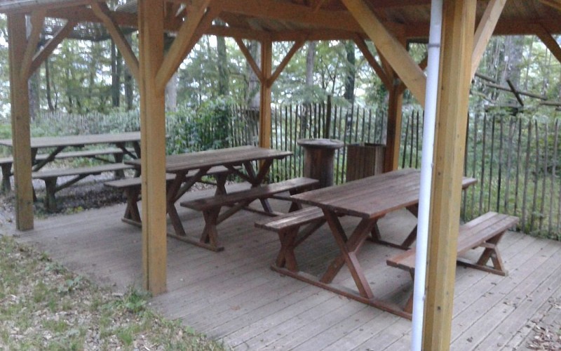 AIRE PIC NIC FORET SUSPENDUE20150701_213057