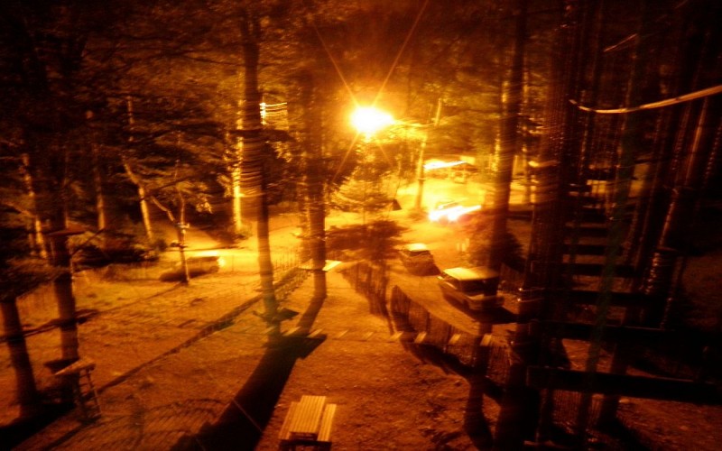 AIRE PIC NIC FORET SUSPENDUEP8266634