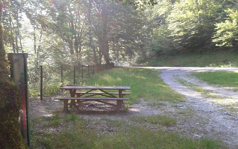 AIRE PIC NIC ISCOO2013-07-07 09.44.20