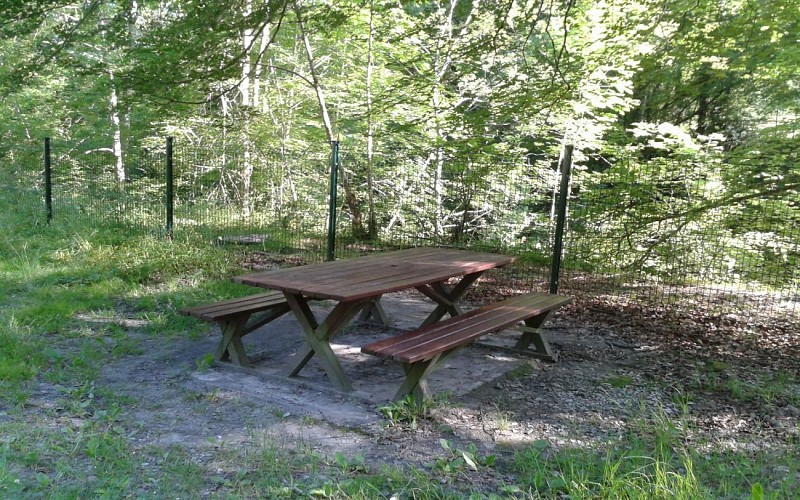 AIRE PIC NIC ISCOO2013-07-07 09.45.36