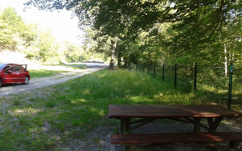 AIRE PIC NIC ISCOO2013-07-07 09.45.46