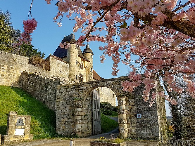 Château Excideuil prunus tel
