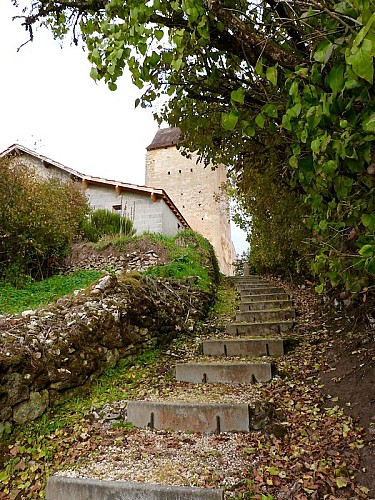 chemin montant1- Sirtaqui