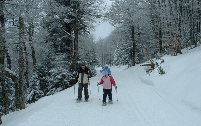 Iraty-ski-fond-montagne-basque