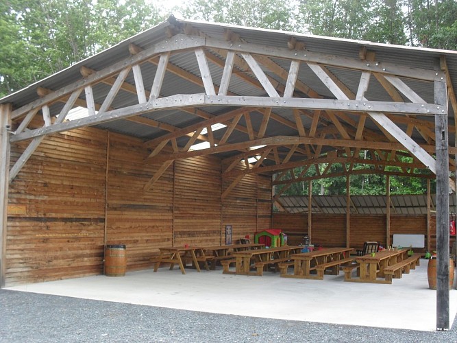 Ttiki Leku - coin pic nic