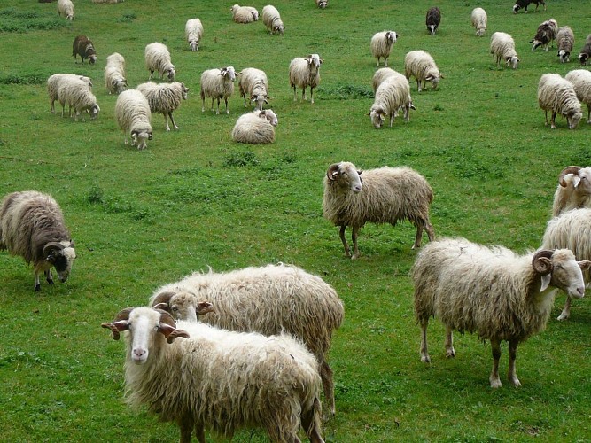 P1010443-300-dpi-2-f0b1611e55c1471a894c3b87fd8f922f