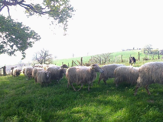Location Larraburu-Hélette