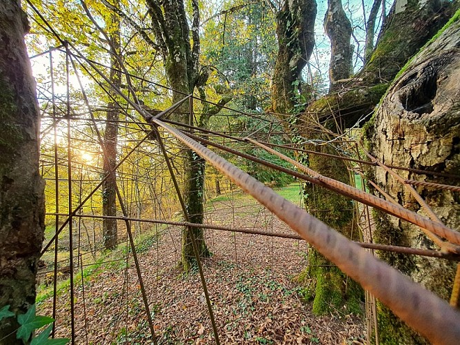 jardin-dhelys-cage-©benoit-rocher
