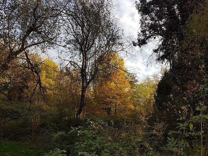 jardin-helys-parc-2S