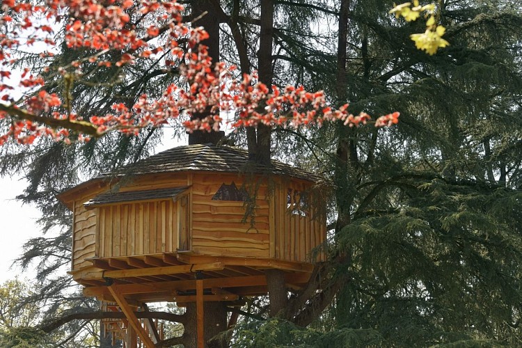 cabane 7ème ciel (9)