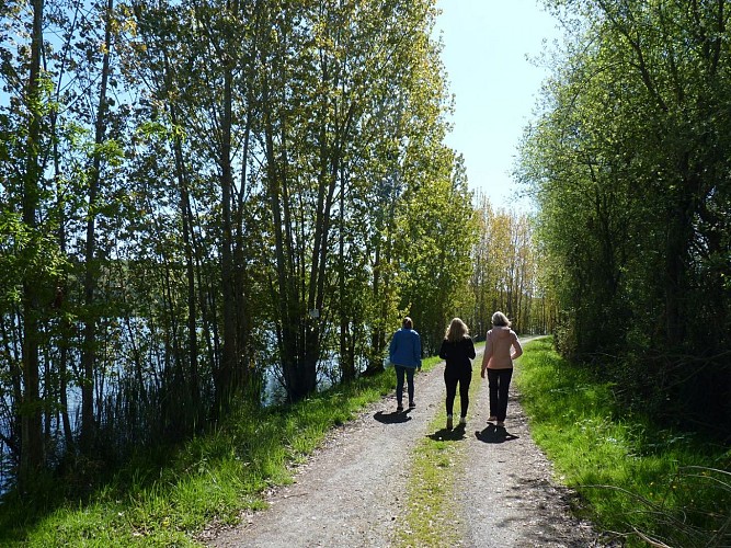 Aire de pique-nique du Lac de Bassillon - Bassillon - cph SMT NB avril 2021 (2)