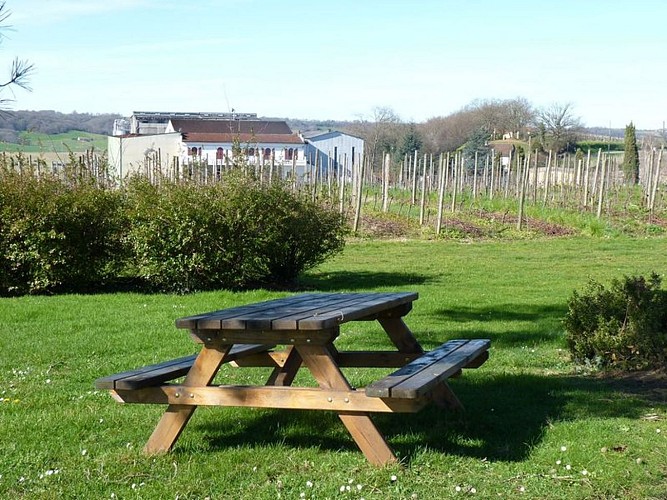 Aire de pique nique Château de Crouseilles