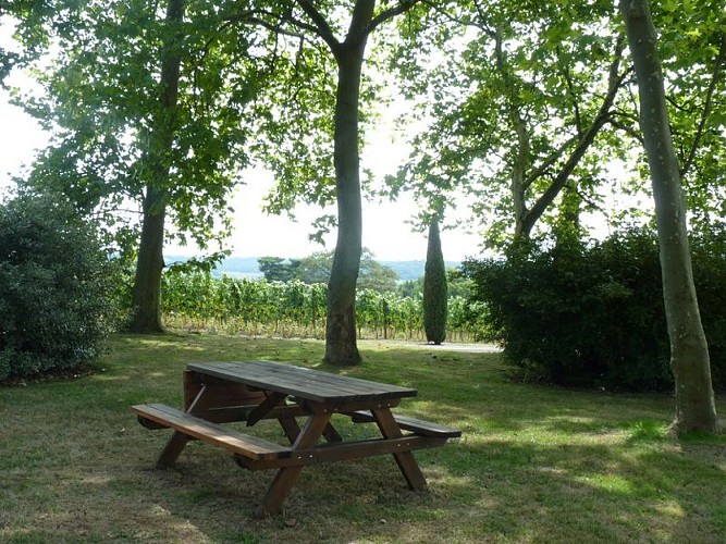 aire pique-nique château crouseilles 4