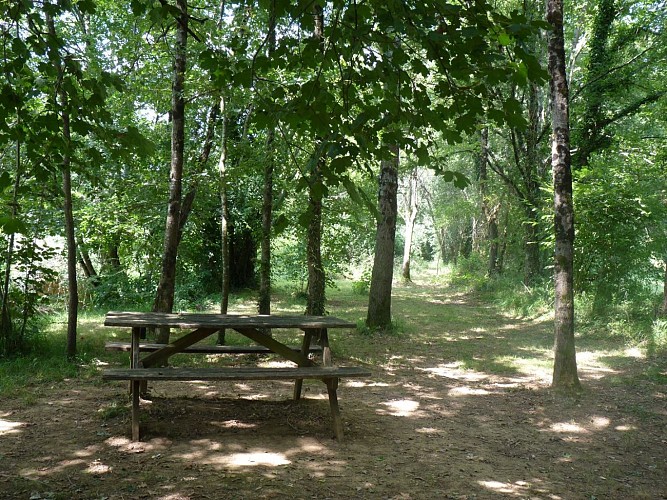 Lespielle aire pique-nique credit tourisme bearn madiran 2024 (1)