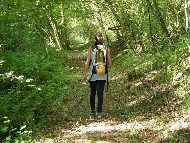 Randonnée sentier fontaines Moncaup