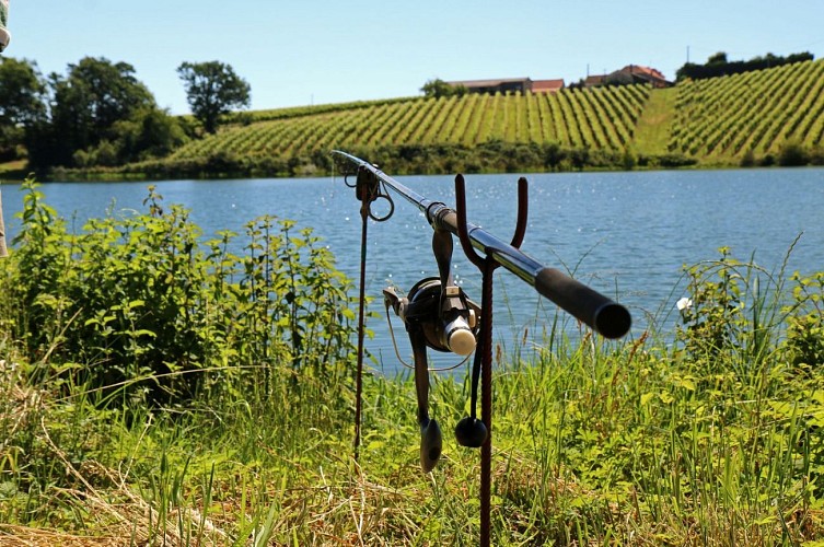 lac Aydie vic-bilh pêche madiran 1