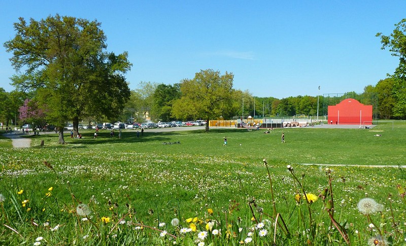 plaine des sports - prairie