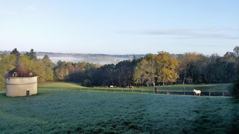 Château de Borie-Petit 3