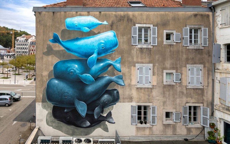 nevercrew-street-art-bayonne