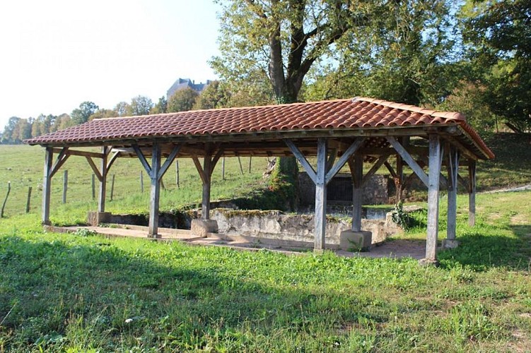 43012752-272817530007092-2944109792605503488-n