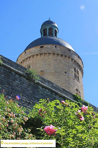 42908345-1740231329439015-4634412013240451072-n