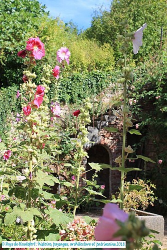 42925996-1740230869439061-2223857035630346240-n