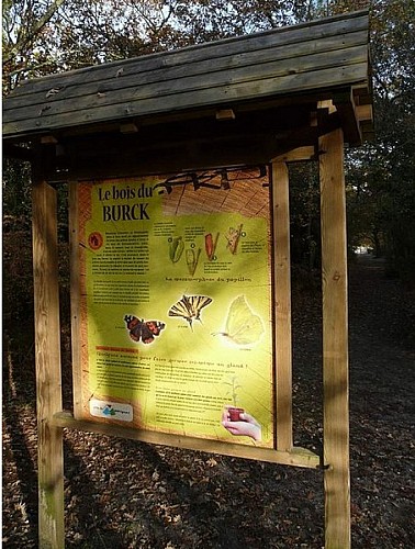 Mérignac - Bois du Burck