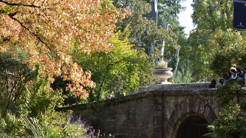 Bordeaux-en-automne-Loic-Graniczny-4