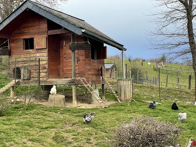 Des plumes et des pattes - Poulailler (©OTHB)