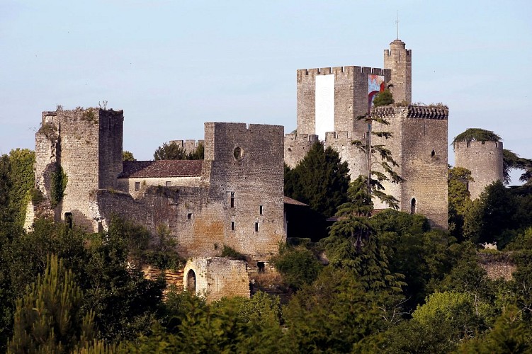 Château de Roquetaillade MAZÈRES Sud-Gironde