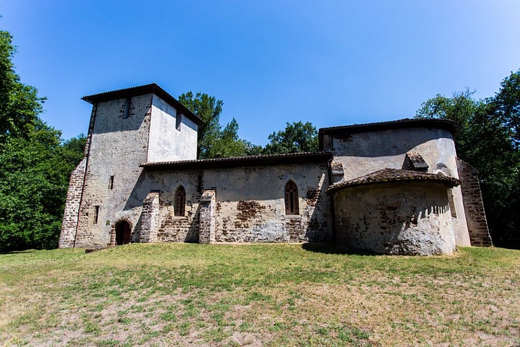 48248084982_825313c1a7_c