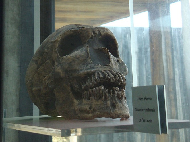 Grotte Pair non Pair Prignac crâne 800x600