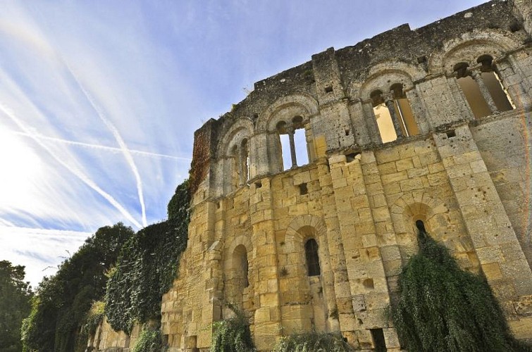 PALAIS CARDINAL_HEURISKO_HD (5)