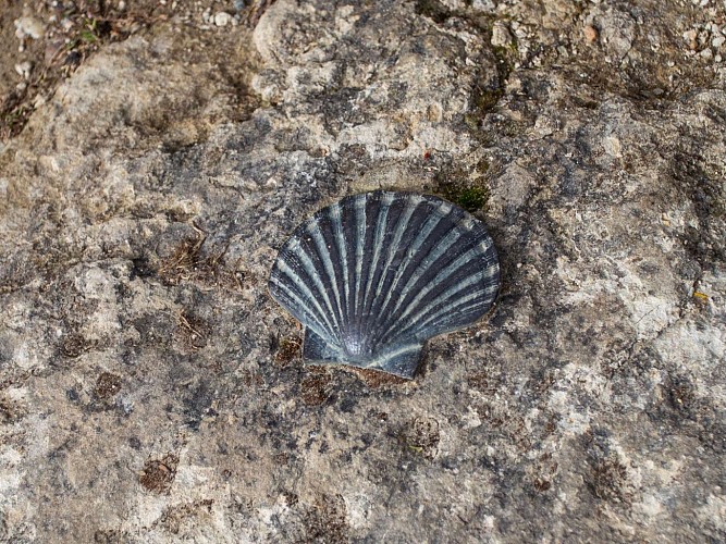 Pondaurat