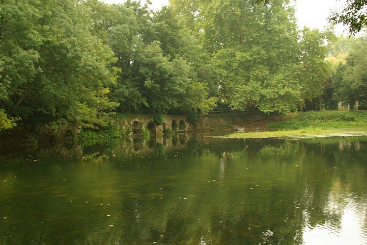 800X600_Nature-rivière-Les Peintures (Sablons)-CCordonatto 