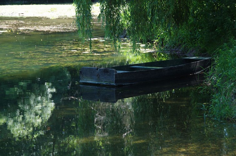 800X600_Les Peintures-Bac de Sablons-CCordonatto-Dronne-CATY1680