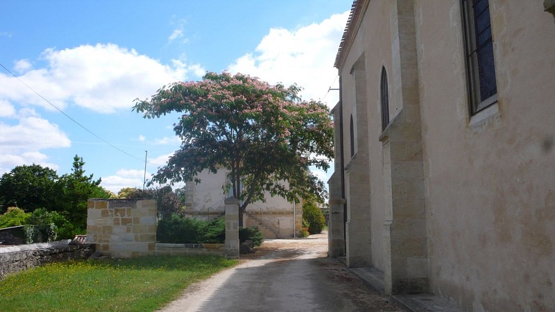 eglise st martin de castre 11