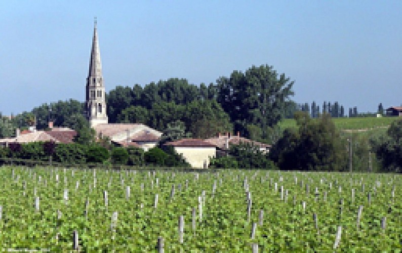 Village de Sauternes