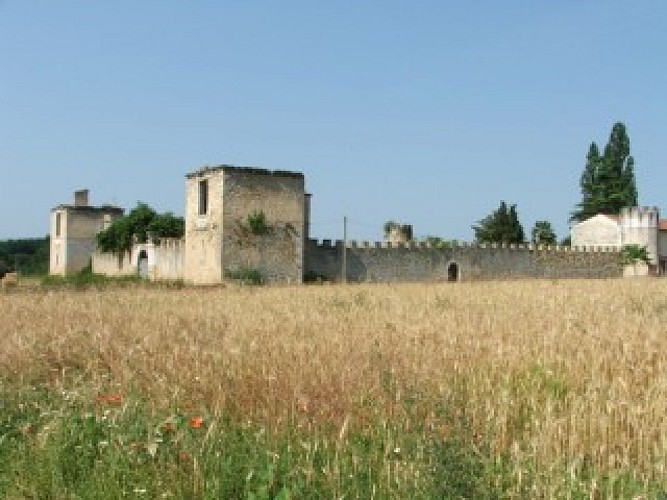 Ruines du Château de Saint-Cricq