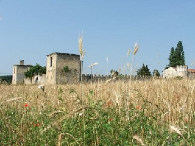 Château St Cricq Cérons