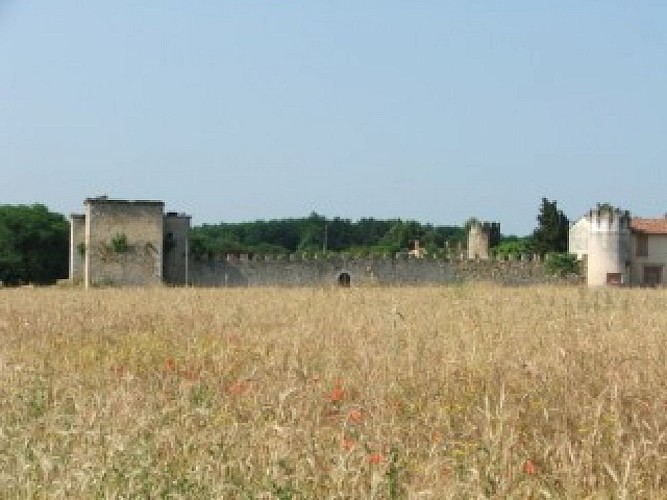 Château St Cricq Cérons