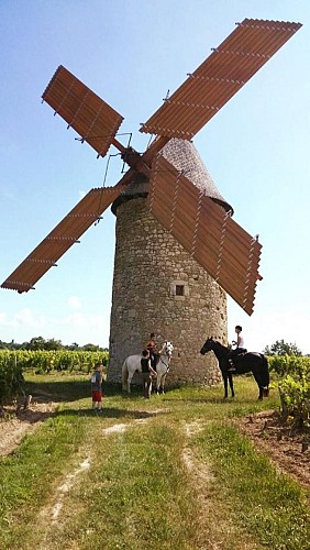 moulin blaignan2