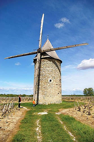 Blaignan - Moulin à vent de Courrian