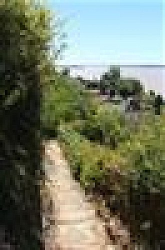 maison-troglodytique-route-de-la-corniche-gauriac-vue-estuaire-800x600--blaye-tourisme