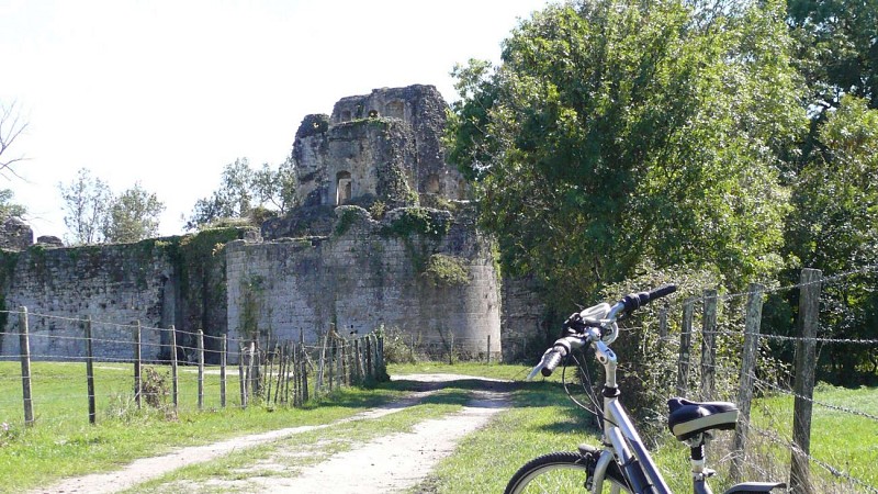 Forteresse-de-Blanquefort-Sophie-Duboscq-1