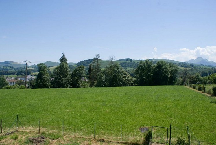 Vue depuis le gîte Pécourt