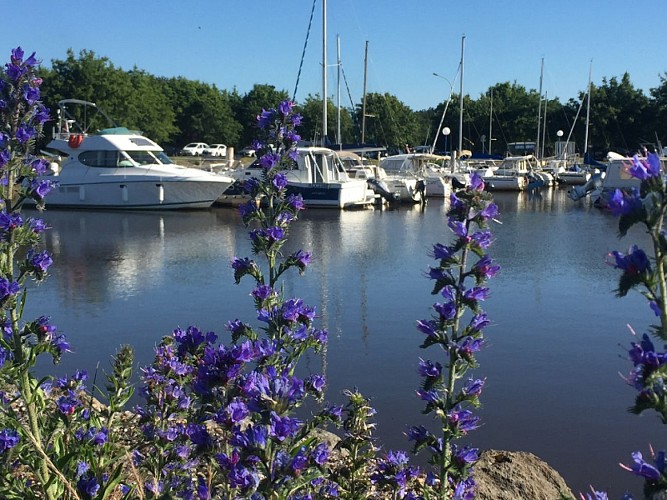 Port du Teich -