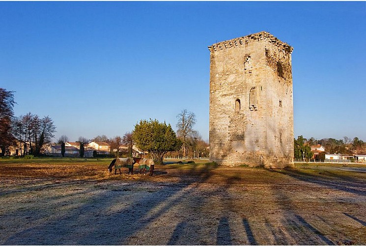 Mérignac - La Tour de Veyrines