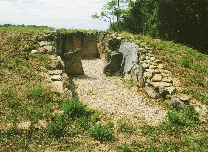 Dolmen-de-Barbehere